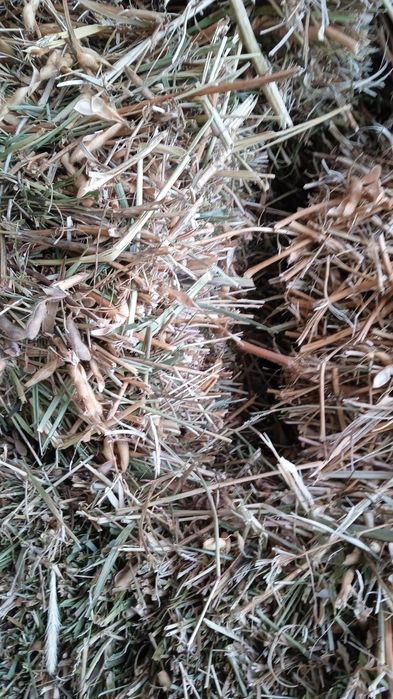 Продам салому мелкая