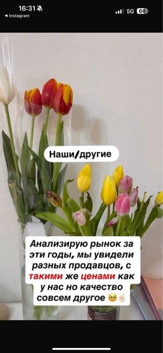 Свежие БОЛЬШИЕ тюльпаны на 8 марта