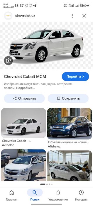 Other Cobalt 2025 — 3