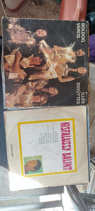 Disc vinil 27 mare sí 10 mic