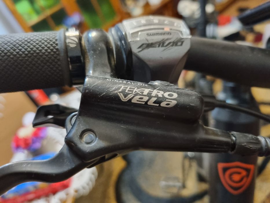 Vand bicicleta electrica de oras Bafang