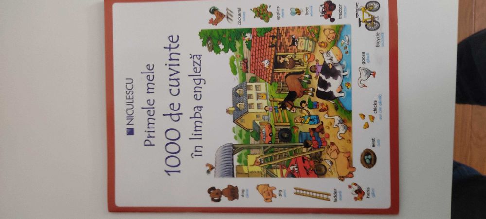 Meditații engleza, franceza, italiana, spaniola