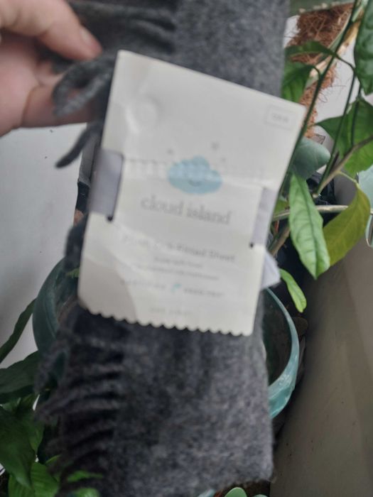 Claud Island Scotland 100% вълна Мъжки сив шал