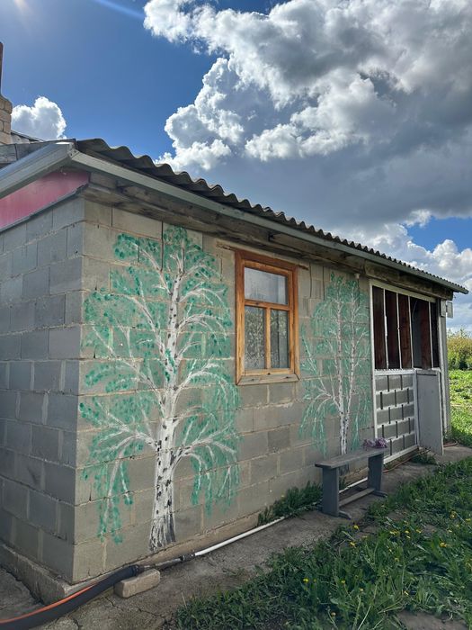 Дача 12 соток с насаждениями