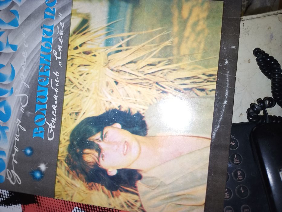 Виниловые пластинки