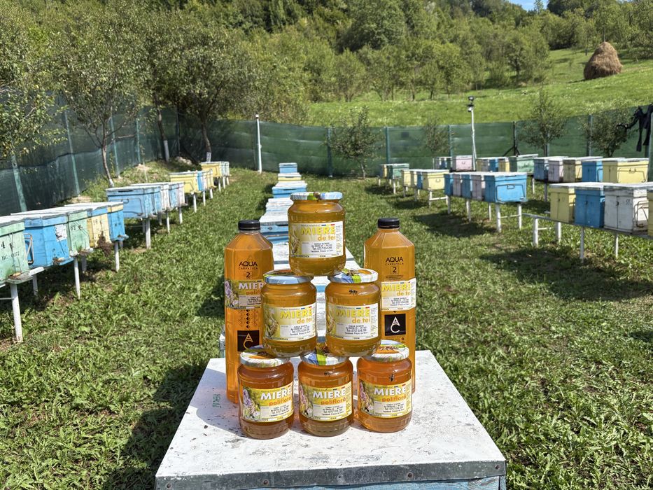 Miere de albine: Polifloră și Tei.Producție 2025 ,livrare la domiciliu