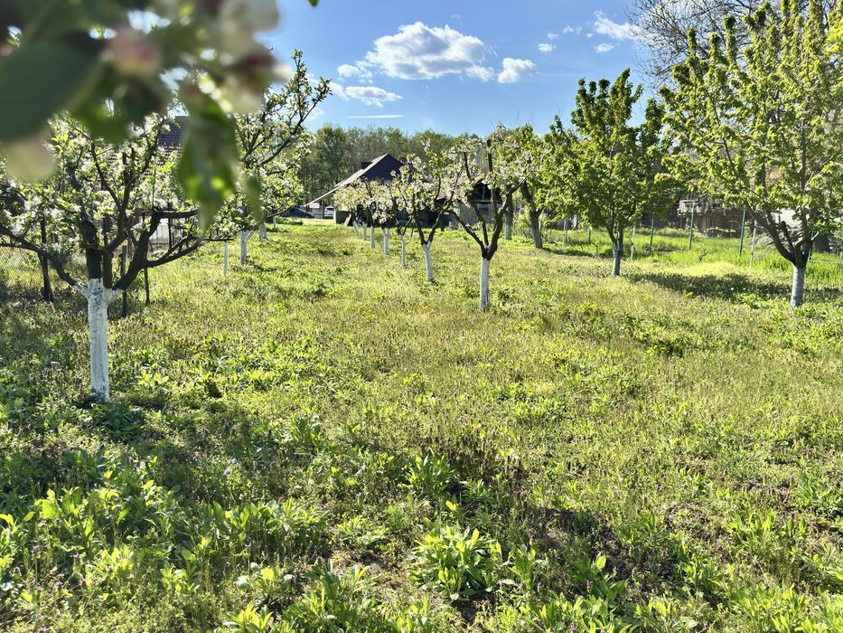 De vânzare casă Stănești-Alexeni casa+teren 6150mp