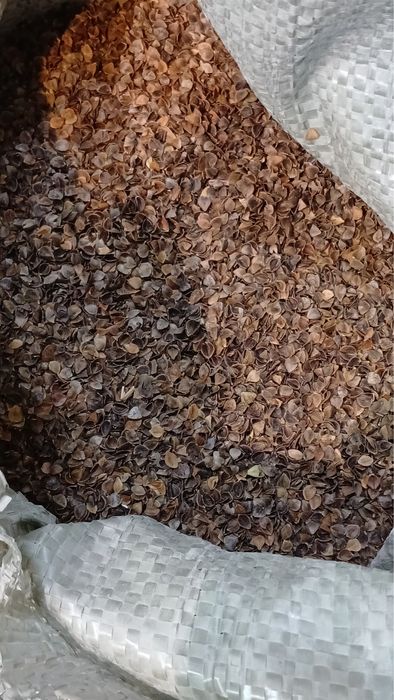 Гречневая лузга Алматы