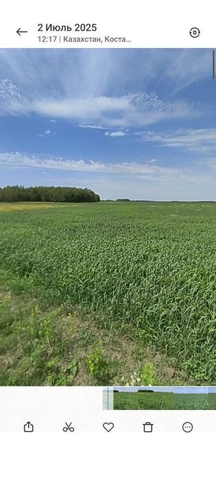 Продам Пашню 427 га