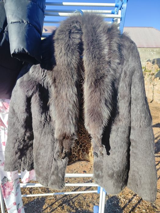 Кегін. Отдам бесплатно,