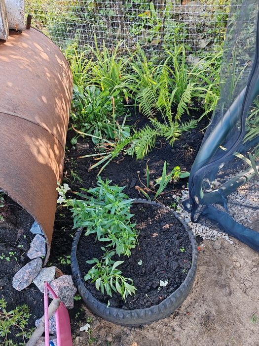 Продам дачу в черте города