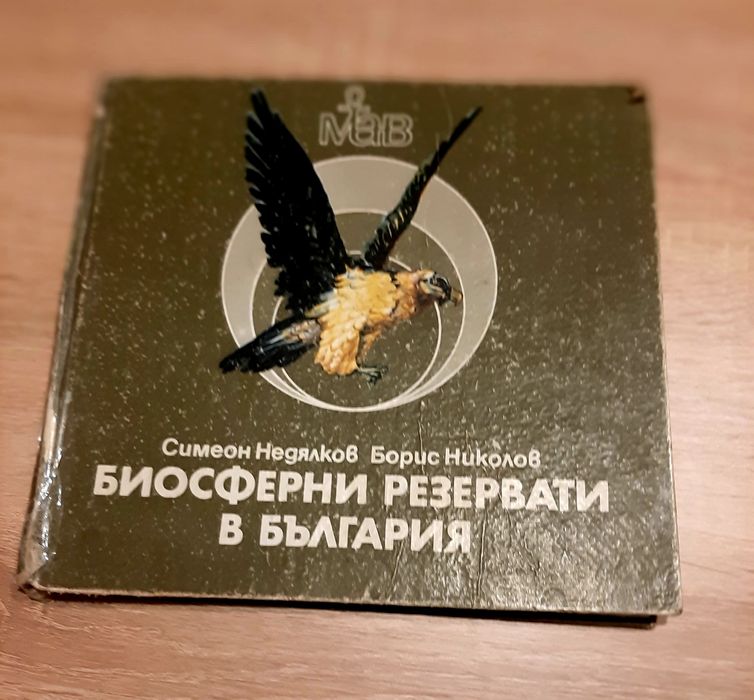 Музикална проходилка за бутане и муз игра за50лв двете,,голямо слонче