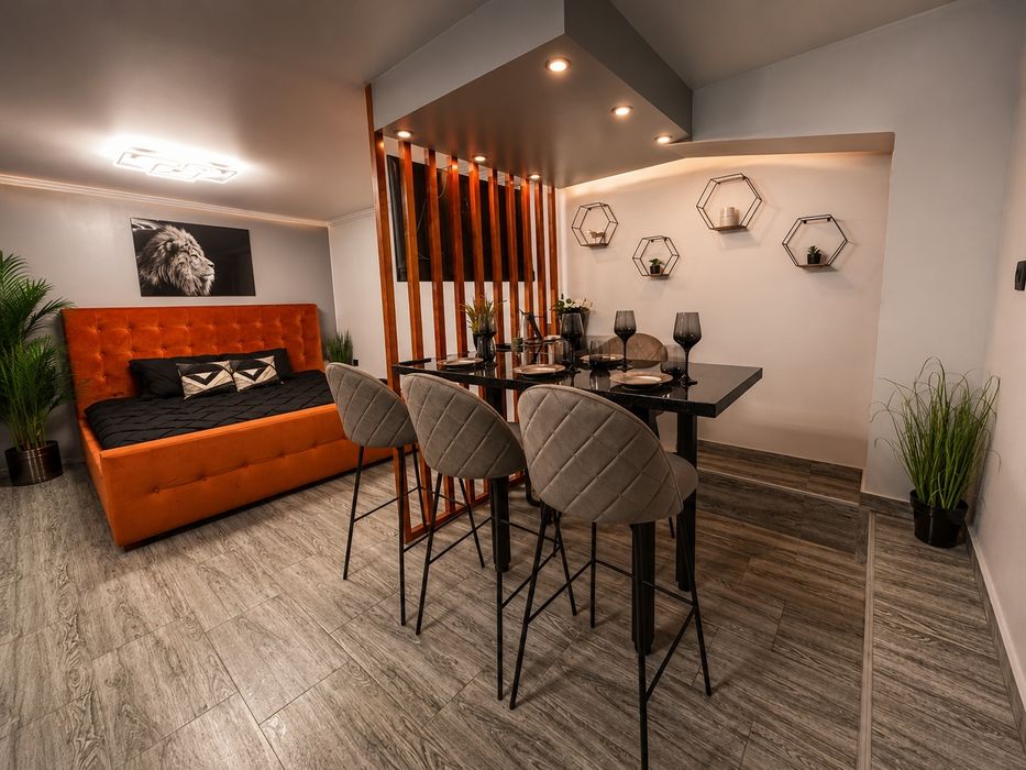 Cazare Studio Spațios de Lux cu Jacuzzi Profesional Ultra Central