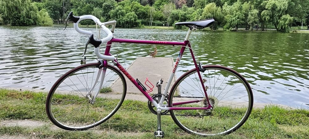 Road bike Giant Peloton size XL 62 ciclam cursiera turn heads