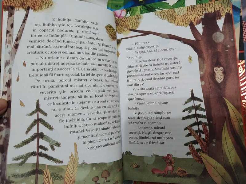 Carte pentru copii - Veverita eroina și prietenul dragon - Annika Scheffel
