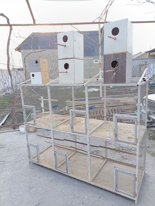 Quwga qafas  etajerka olti jup paraga