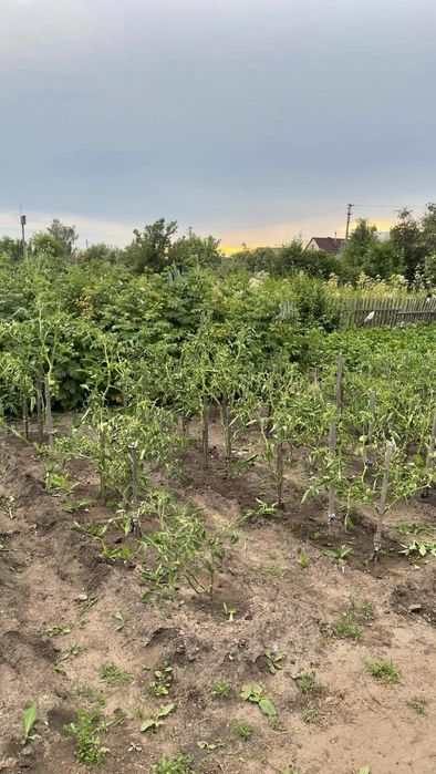 Продам дачу в с/о "Комета