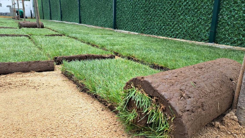 Тревен чим като килим от производител