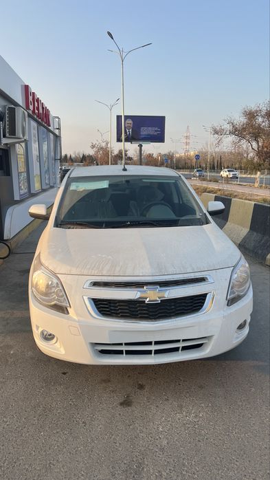 cobalt stayl MCM кобальт