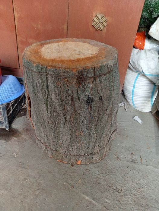 Ўрик дарахтдан гўшт майдалаш усун кундалар сотилади