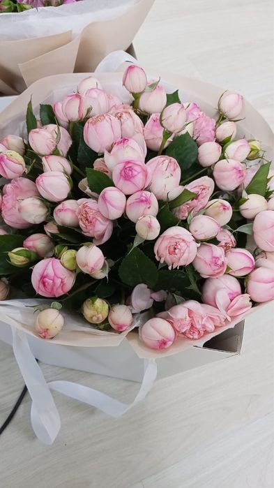 Продам цветы свежие красивые