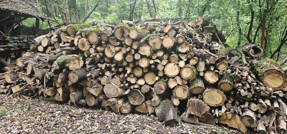 Vand lemn de foc esenta tare 159lei m ster in Paulesti Prahova