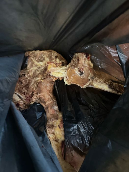 Продам кости и жир