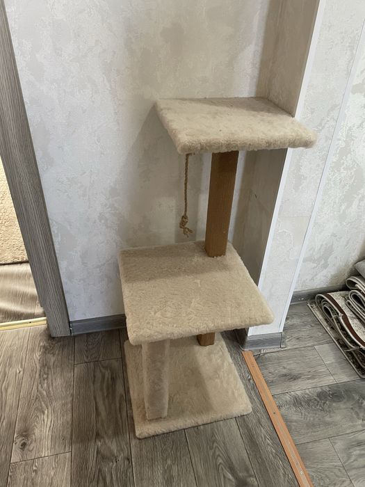 Когтеточка для кошек