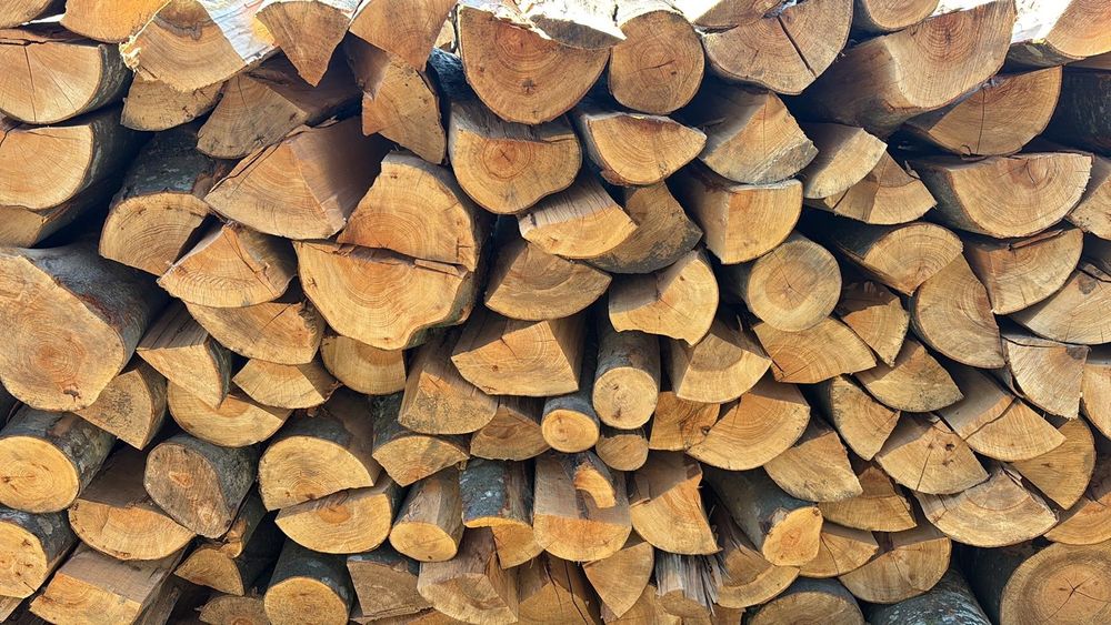 Lemne foc esență tare (fag si carpen)