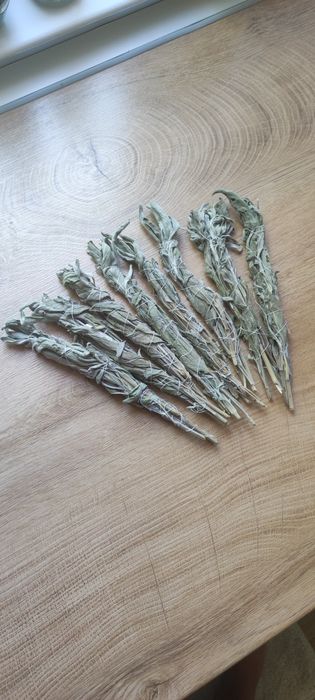 Салвия за кадене.