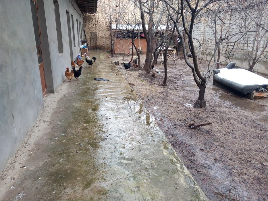 2 xonaLi xovLi KeLes M. Fozialov 250ye rieltor_50% variyantLar bor