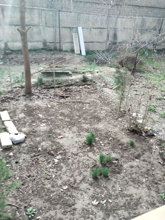 Продам 1 ком 1этаж 4этажки СЕРГЕЛИ -2. С отличным ремонтом. Выход в ог