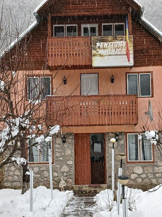 Vand casa de vacanta