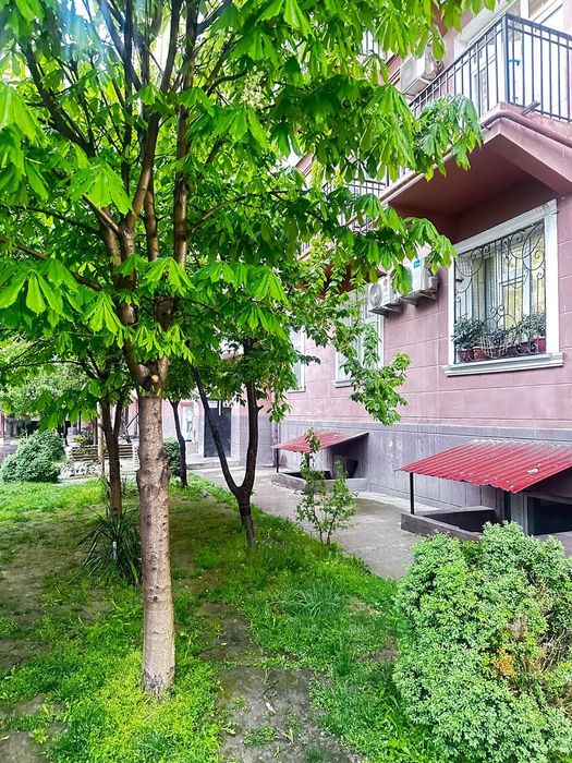 Sergili6a 23do'm navastroyka 1etaj 2hona