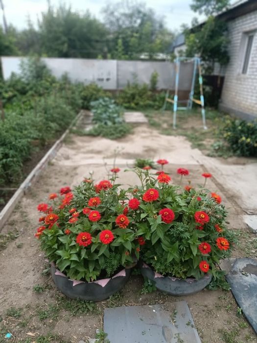 Продам дом с центральным отоплением