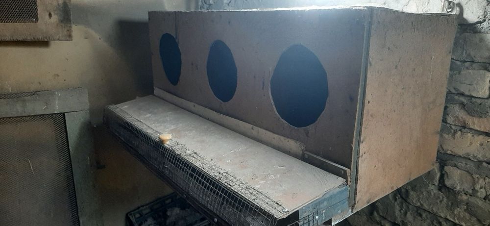 Домик для кур несушек.