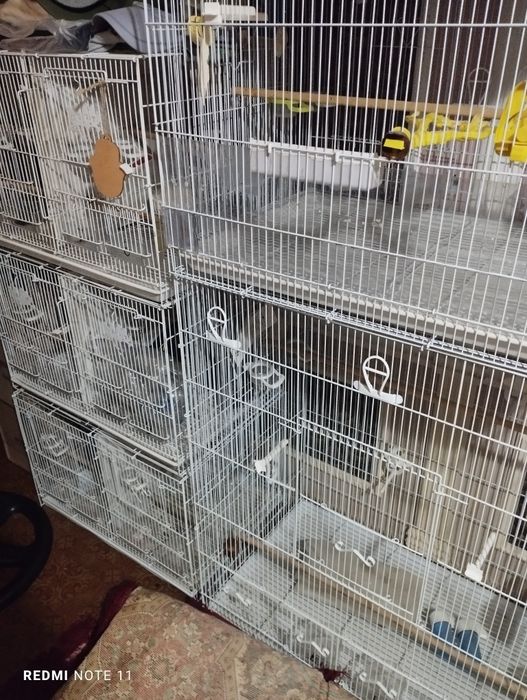 Кушлар учун кафас сотилади. Ахволи Зур  Зур.