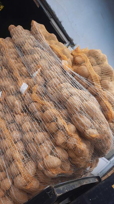 Vand Cartofi calibru 55+la sac 10kg si 25 kg