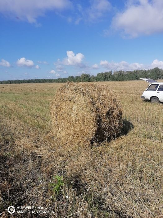Продам сено Узункульский р-н, село Белоглинка