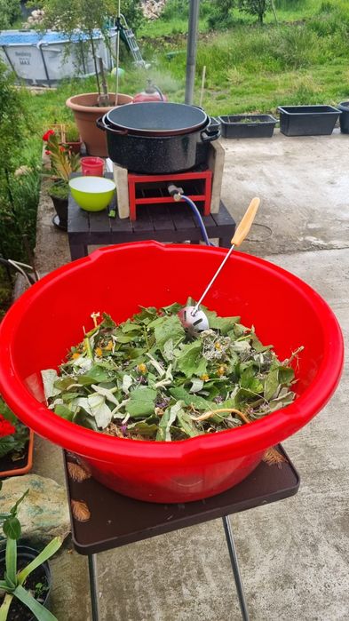 Unguent Brusture  100% Natural - 2 borcanele 100 Ron