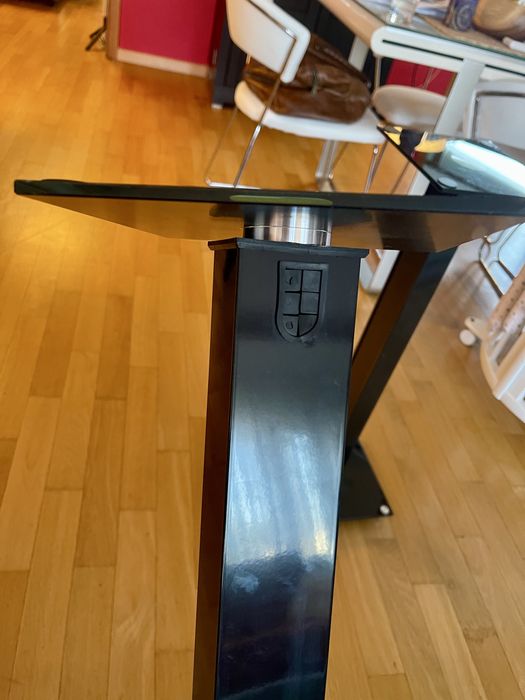 Standuri boxe Hi-Fi 73 cm – pereche, sticlă și metal, cablu ascuns