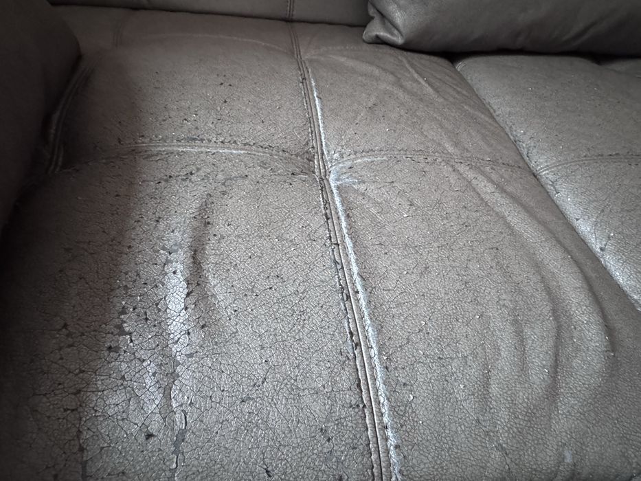 Диван с функция сън и ракла