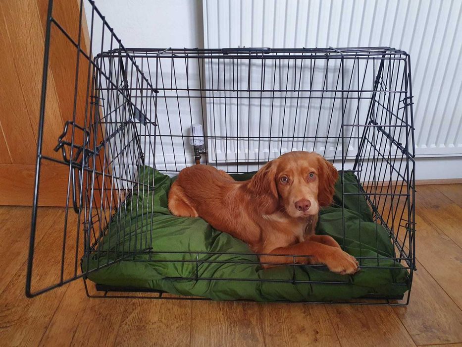 Сгъваема клетка за кучета с метална табла и постелка 60х40х51