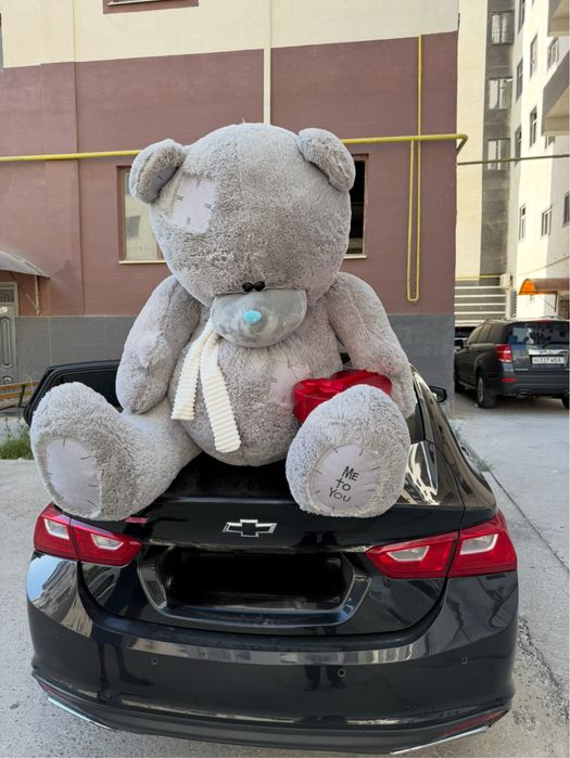 3 метрлик Янги Тедди