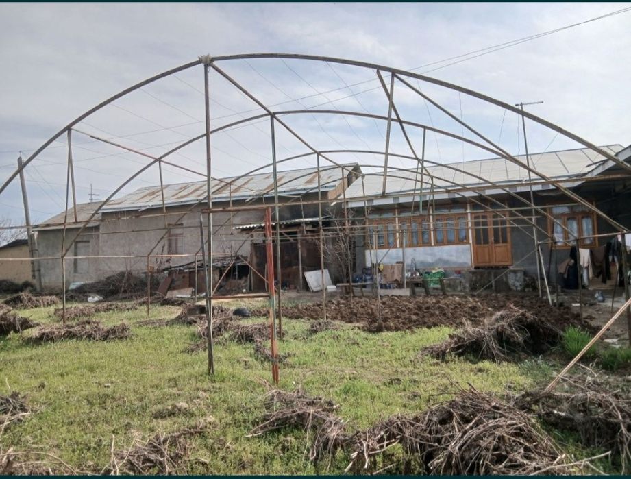 Issiqxona 2 sotix salafani bilan