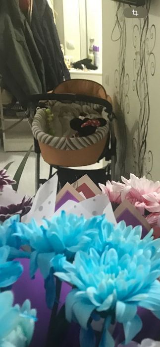 Продам коляску baby point