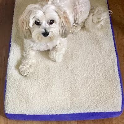 Здраво кучешко легло 71x48x6см – удобно, здраво и не се деформира