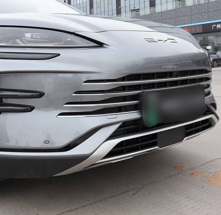 Защитная сетка радиатора — BYD Champion EV/DMI