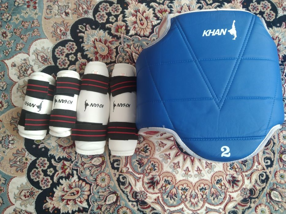 Щитки Тхеквандо в хорошем состоянии