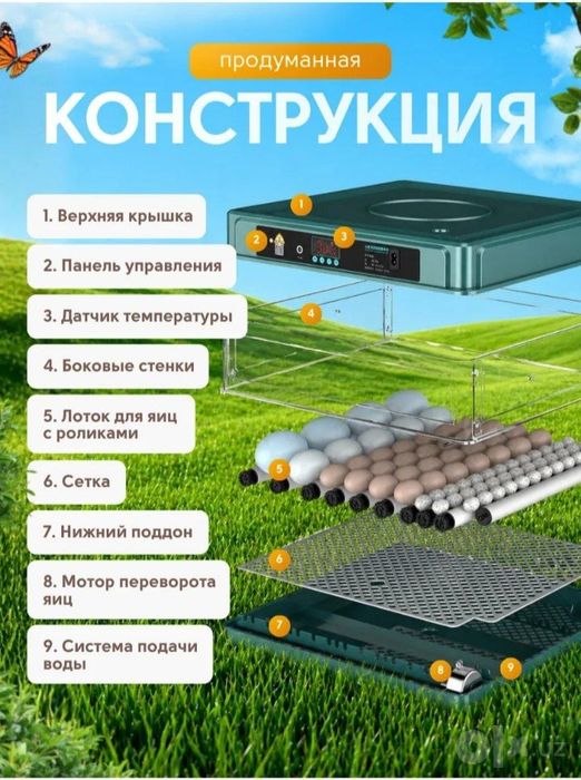 Inkubator 36 talik avtomat